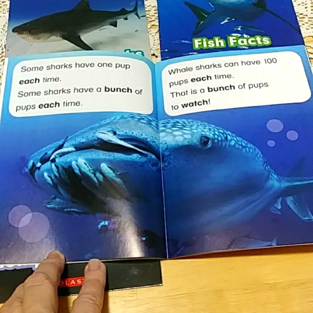 Sharks Phonics Readers, scholastic early readers